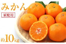 みかん 約10kg（家庭用）【2024年11月下旬から発送】【柑橘 フルーツ 果物 くだもの 食品 人気 おすすめ 広島県 尾道市】