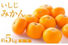 いしじみかん 約5kg（2L・3L）【2024年12月から発送】【柑橘 フルーツ 果物 くだもの 食品 人気 おすすめ 広島県 尾道市】