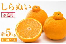 しらぬい 約5kg（家庭用）【2025年2月から発送】【不知火 柑橘 フルーツ 果物 くだもの 食品 人気 おすすめ 広島県 尾道市】