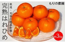はれひめ「みかんの甘み」と「オレンジの香り」の新品種！3kg【もりの農園 柑橘 果物 フルーツ 人気 おすすめ 瀬戸内 広島県  尾道市】