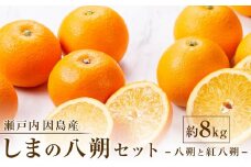 【先行予約】しまの八朔セット約8kg（Mサイズ程度　約30個　紅八朔と八朔）＜2025年1月下旬から発送＞【フルーツ 果物 くだもの 食品 人気 おすすめ】