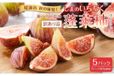 【先行予約】【尾道特産・秋の味覚！しまのいちぢく（訳あり品）】瀬戸内・因島の蓬莱柿（ほうらいし）約320g×5パック【9月より配送】【フルーツ 果物 くだもの 食品 人気 おすすめ】