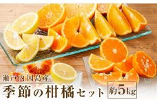 【先行予約】季節の柑橘セット約5kg ＜2025年1月下旬から発送＞【フルーツ 果物 くだもの 食品 人気 おすすめ】