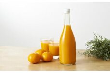 農家直送 自慢の高糖度みかんジュース 無添加 果汁 100% 720ml 2本【柑橘 フルーツ ストレート ジュース 果汁100% いんのしま 尾道 おすすめ 尾道市】