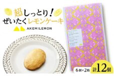 超しっとり！ぜいたくレモンケーキ 12個（6個×2箱）【菓子 おかし 檸檬 柑橘 果物 フルーツ 焼き菓子 スイーツ デザート ギフト 贈答 食品 人気 おすすめ 広島県 尾道市】