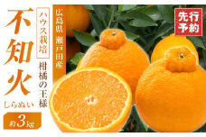 ☆先行 予約 ハウス栽培 しらぬい 3kg【2025年3月～発送開始】【みかん 不知火 柑橘 果物 フルーツ 産地直送 人気 おすすめ 瀬戸内 広島県  尾道市】