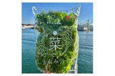 しまなみリーフ8袋　（1袋140ｇＸ8袋）【野菜 サラダ 無農薬 やさい 食品 人気 おすすめ 尾道 因島】