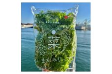 しまなみリーフ8袋　（1袋140ｇＸ8袋）2025年11月下旬から発送【野菜 サラダ 無農薬 やさい 食品 人気 おすすめ 尾道 因島】