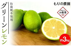 【お歳暮ギフト】レモン島から贈る安心の国産グリーンレモン約3kg | 産地直送 送料無料 フルーツ 防腐剤不使用 ノーワックス もりの農園