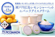 【お歳暮ギフト】瀬戸内広島レモンシャーベット＆バニラアイスクリームセットＭ