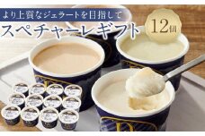 【お中元ギフト】こだわりの素材がつむぎ出すプレミアムな味わい！スぺチャーレギフト12個入り（6種類）