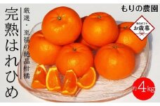 【お歳暮ギフト】厳選！はれひめ「みかんの甘み」と「オレンジの香り」の新品種！（約4kg）フルーツ お取り寄せ 産地直送