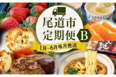 尾道人気グルメ定期便 B【1月～6月まで毎月発送】【いちご ハンバーグ ハウスせとか ピザ ラーメン 食べ比べ ジェラート 広島】
