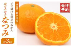 ☆先行 予約 濃厚すぎるほど濃いみかん　手で剥ける初夏のみかん　なつみ　3ｋｇ