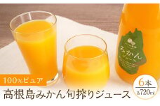 100%ピュア高根島みかん旬搾りジュース　6本セット