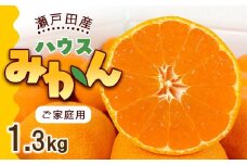 とろけるような完熟ハウスみかん1.3キロ＜7月1日～順次発送＞ドルチェみかん フルーツ 柑橘 果物 産直【みかん 柑橘 果物 フルーツ 人気 おすすめ 瀬戸内 広島県  尾道市】