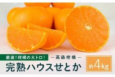柑橘の大トロ！完熟ハウスせとか  4kg2026年2月中旬～発送予定【フルーツ 人気 お取り寄せ 産地直送 もりの農園 ドルチェみかん みかん せとか 柑橘 果物 フルーツ 産地直送 人気 おすすめ 瀬戸内 広島県  尾道市】