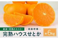 柑橘の大トロ！完熟ハウスせとか  6kg 2026年2月中旬～発送予定【フルーツ 人気 お取り寄せ 産地直送 もりの農園 ドルチェみかん みかん せとか 柑橘 果物 フルーツ 産地直送 人気 おすすめ 瀬戸内 広島県  尾道市】