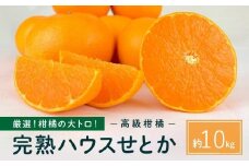 柑橘の大トロ！完熟ハウスせとか  10kg 2026年2月中旬～発送予定【フルーツ 人気 お取り寄せ 産地直送 もりの農園 ドルチェみかん みかん せとか 柑橘 果物 フルーツ 産地直送 人気 おすすめ 瀬戸内 広島県  尾道市】