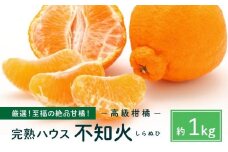 越冬完熟しらぬひ 1kg 2026年3月上旬～発送予定【みかん 不知火 しらぬい 柑橘 果物 フルーツ 産地直送 人気 おすすめ 瀬戸内 広島県  尾道市】