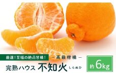 越冬完熟しらぬひ 6kg 2026年3月上旬～発送予定【みかん 不知火 しらぬい 柑橘 果物 フルーツ 産地直送 人気 おすすめ 瀬戸内 広島県  尾道市】