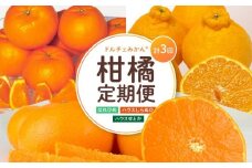 尾道発 厳選！柑橘定期便 全3回 はれひめ ハウスせとか ハウス不知火【しらぬい しらぬひ 頒布会 果物 フルーツ 人気 おすすめ 瀬戸内 広島県  尾道市】