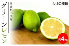 【レモン島から贈る】安心の国産グリーンレモン4kg 2025年10月下旬より発送予定【柑橘 果物 フルーツ人気 おすすめ 瀬戸内 広島県  尾道市】
