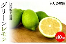 【レモン島から贈る】安心の国産グリーンレモン10kg 2025年10月下旬より発送予定【柑橘 果物 フルーツ人気 おすすめ 瀬戸内 広島県  尾道市】
