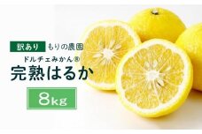 【訳あり】完熟はるか 8kg ドルチェみかん