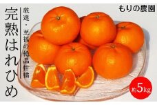 はれひめ「みかんの甘み」と「オレンジの香り」の新品種！5kg【もりの農園 柑橘 果物 フルーツ 人気 おすすめ 瀬戸内 広島県  尾道市】