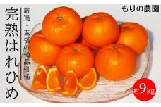 はれひめ「みかんの甘み」と「オレンジの香り」の新品種！9kg【もりの農園 柑橘 果物 フルーツ 人気 おすすめ 瀬戸内 広島県  尾道市】