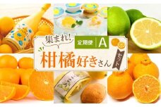 定期便A～集まれ！柑橘好きさんセット～【10月～3月まで毎月発送】