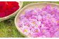 一口で感じる至福の贅沢 バラアイス 福山薔薇人 バラード