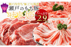 ＼寄附額改定／　瀬戸内育ち “極上”の豚肉「瀬戸のもち豚せと姫」たっぷりセット約2,900g (ロースステーキ・肩ロース・バラ)  【豚肉 食べ比べ セット 詰合せ しゃぶしゃぶ 鍋 肉 広島県 福山市】【豚肉 食べ比べ セット 詰合せ しゃぶしゃぶ 鍋 肉 広島県 福山市】
