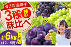 【 全3回定期便 】 期間限定 贅沢 3種 の沼隈ぶどう 定期便 各2kg ( ピオーネ シャインマスカット ニューベリーA) 広島県福山市/福山市農業協同組合　沼隈グリーンセンター ぶどう ブドウ 葡萄 種なし 大粒 マスカット フルーツ 果物 くだもの 広島 福山 [BAEV003]