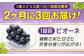 贅沢3種！ ぶどう ブドウ 葡萄 ピオーネ マスカット ニューベリーA 2kg 