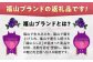 豪華 贈答用 国産牛肉 ！ 神石牛 と 高原黒牛 の ステーキ用 ロース 肉 ！