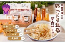 ＼寄附額改定／　福山産 厳選素材の大人気「生姜商品詰合せ」 5種類 計11個【詰合せ セット ごはんの素 生姜ごはん 生姜 シロップ 生姜糖 ジンジャーソーダ お弁当 広島県 福山市】