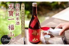 福山城築城四百年記念酒『天寶一 福山。』 特別純米酒 (720mL) 広島県福山市/株式会社酒商山田【日本酒 酒 純米酒 アルコール 贈り物 ギフト 贈答 城 福山城 広島県 福山市】[BAFR005]