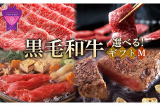 ＼寄附額改定／　選べる「なかやま牧場」黒毛和牛ギフト〈M〉【ブランド牛 銘柄牛 なかやま牛 肉 牛肉 すき焼き 焼肉 ステーキ ギフト 贈り物 贈答 広島県 福山市】