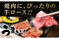 黒毛和牛最高峰！神石牛の焼肉用ロース肉をギフトに！国産牛肉！