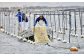 海苔職人が紡ぐ、至極のごはんのお供 海苔 佃煮 生海苔 バラエティ 海産物