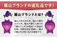 海苔職人が紡ぐ、至極のごはんのお供 海苔 佃煮 生海苔 バラエティ 海産物