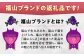 すぐに始められれる安心アクアリウム 海水魚 観賞魚 カクレクマノミ 熱帯魚