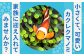 すぐに始められれる安心アクアリウム 海水魚 観賞魚 カクレクマノミ 熱帯魚