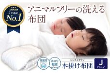 《日本製》洗える 人工羽毛布団 掛け布団 〈ジュニア〉人工羽毛 エントリーモデル  広島県福山市/イシケン株式会社 2枚組 羽毛布団 羽毛ふとん 肌掛け 日本製 オールシーズン 掛布団 寝具 アレルギー対策 広島 福山 [BAAK029]