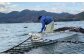 とろける贅沢初摘みのり 乾物 海苔 味付のり 焼きのり のり 詰合せ 贈答