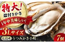 貝類 【冷蔵】 うつみかき小町殻付き 3Lサイズ×7個 広島県福山市/カネト海苔水産株式会社 牡蠣 かき 殻付 焼き牡蠣 うつみかき小町 かき小町 [BAAQ006]