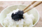 年に一度しか収穫できない「一番摘み」海苔のみを使用!