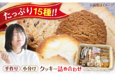 手作りおやつ お菓子 「IRODORI『彩』」スイーツセレクション 広島県福山市/一般社団法人トータルライフサポートふくやま 焼き菓子 焼菓子 クッキー 詰め合わせ 詰合せ セット [BABK006]